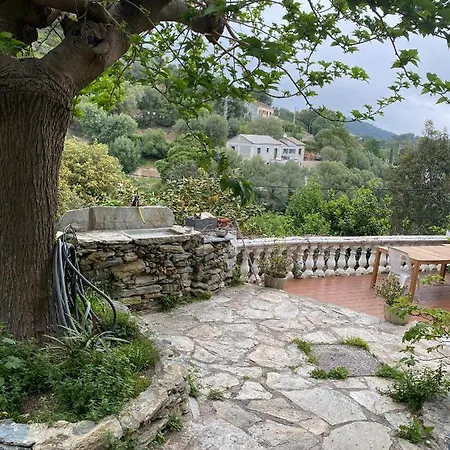 Maison Casa Nova Villa