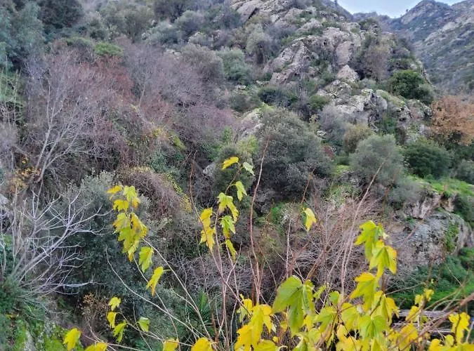 Maison Casa Nova Willa *